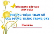 Phương trình tham số của đường thẳng trong mặt phẳng Oxy lớp...
